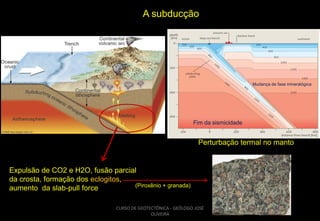 A subducção

Mudança de fase mineralógica

Fim da sismicidade

Perturbação termal no manto

Expulsão de CO2 e H2O, fusão parcial
da crosta, formação dos eclogitos,
(Piroxênio + granada)
aumento da slab-pull force
CURSO DE GEOTECTÔNICA - GEÓLOGO JOSÉ
OLIVEIRA

 