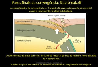 Fases finais da convergência: Slab breakoff
A desaceleração da convergência e a flutuação (buoyancy) da crosta continental
causa o rompimento da placa subductada.

O rompimento da placa permite a entrada de material quente do manto e novo episódio
de magmatismo.
CURSO DE GEOTECTÔNICA - GEÓLOGO JOSÉ
OLIVEIRA

A perda de peso em virtude do breakoff possibilita o soerguimento do orógeno.

 