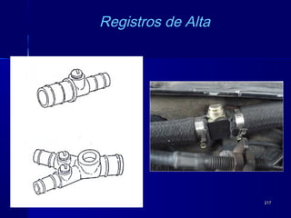 217217
Registros de Alta
 