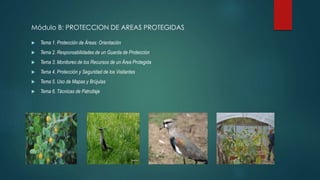 Módulo B: PROTECCION DE AREAS PROTEGIDAS
 Tema 1. Protección de Áreas: Orientación
 Tema 2. Responsabilidades de un Guarda de Protección
 Tema 3. Monitoreo de los Recursos de un Área Protegida
 Tema 4. Protección y Seguridad de los Visitantes
 Tema 5. Uso de Mapas y Brújulas
 Tema 6. Técnicas de Patrullaje
 