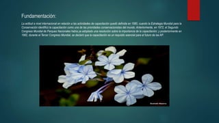 Fundamentación:
La actitud a nivel internacional en relación a las actividades de capacitación quedó definida en 1980, cuando la Estrategia Mundial para la
Conservación identificó la capacitación como una de las prioridades conservacionistas del mundo. Anteriormente, en 1972, el Segundo
Congreso Mundial de Parques Nacionales había ya adoptado una resolución sobre la importancia de la capacitación; y posteriormente en
1982, durante el Tercer Congreso Mundial, se declaró que la capacitación es un requisito esencial para el futuro de las AP.
 