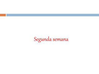 Segunda semana
 
