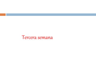 Tercera semana
 