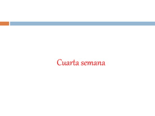 Cuarta semana
 