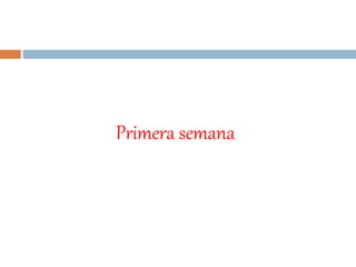 Primera semana
 