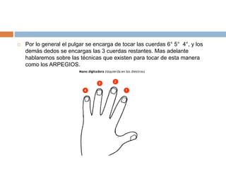  Por lo general el pulgar se encarga de tocar las cuerdas 6° 5° 4°, y los
demás dedos se encargas las 3 cuerdas restantes. Mas adelante
hablaremos sobre las técnicas que existen para tocar de esta manera
como los ARPEGIOS.
 