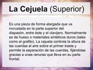 La Cejuela (Superior)
Es una pieza de forma alargada que va
incrustada en la parte superior del
diapasón, entre éste y el clavijero. Normalmente
es de hueso o materiales sintéticos duros (tales
como el grafito). La cejuela controla la altura de
las cuerdas al aire sobre el primer traste y
permite la separación de las cuerdas, fijándolas
gracias a unas ranuras que lleva en su parte
frontal.
 