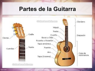 Partes de la Guitarra
 