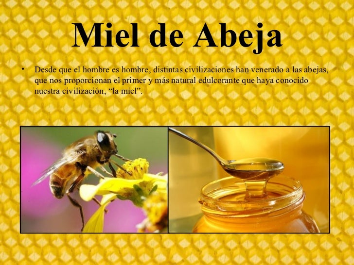 macaguifama miel macaguifama miel