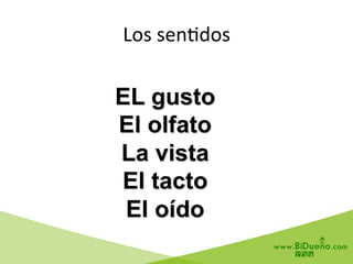 EL gusto
El olfato
La vista
El tacto
El oído
Los	
  sen6dos	
  
 