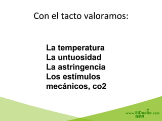 La temperatura
La untuosidad
La astringencia
Los estímulos
mecánicos, co2
Con	
  el	
  tacto	
  valoramos:	
  
 