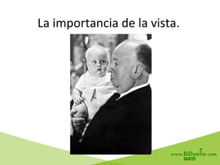 La	
  importancia	
  de	
  la	
  vista.	
  
 