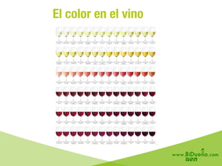 El color en el vino
 