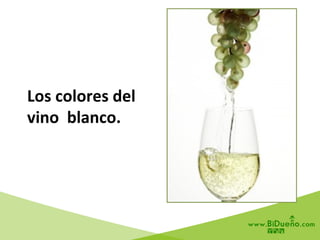 Los	
  colores	
  del	
  	
  
vino	
  	
  blanco.	
  
 
