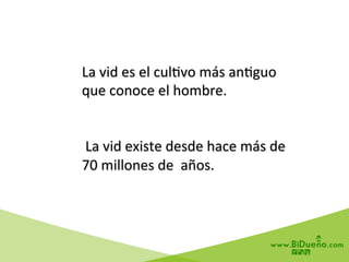 La	
  vid	
  es	
  el	
  cul6vo	
  más	
  an6guo	
  
que	
  conoce	
  el	
  hombre.	
  
	
  
	
  
	
  La	
  vid	
  existe	
  desde	
  hace	
  más	
  de	
  
70	
  millones	
  de	
  	
  años.	
  
 