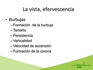  	
  	
  La	
  vista,	
  efervescencia	
  
•  Burbujas
– Formación de la burbuja
– Tamaño
– Persistencia
– Verticalidad
– Velocidad de ascensión
– Formación de la corona
 