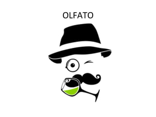 OLFATO	
  
 