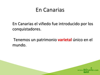 En	
  Canarias	
  el	
  viñedo	
  fue	
  introducido	
  por	
  los	
  
conquistadores.	
  
	
  
	
  Tenemos	
  un	
  patrimonio	
  varietal	
  único	
  en	
  el	
  
mundo.	
  
En	
  Canarias	
  	
  
 