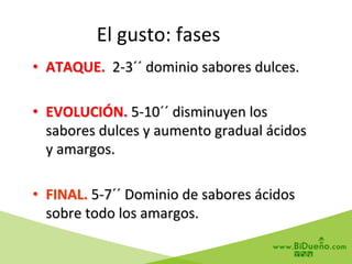 •  ATAQUE.	
  	
  2-­‐3´´	
  dominio	
  sabores	
  dulces.	
  
•  EVOLUCIÓN.	
  5-­‐10´´	
  disminuyen	
  los	
  
sabores	
  dulces	
  y	
  aumento	
  gradual	
  ácidos	
  
y	
  amargos.	
  
•  FINAL.	
  5-­‐7´´	
  Dominio	
  de	
  sabores	
  ácidos	
  
sobre	
  todo	
  los	
  amargos.	
  
El	
  gusto:	
  fases	
  
 