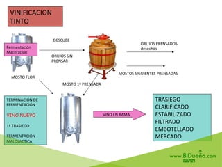 Fermentación	
  
Maceración	
  
DESCUBE	
  
ORUJOS	
  SIN	
  	
  
PRENSAR	
  
ORUJOS	
  PRENSADOS	
  	
  
desechos	
  
MOSTO	
  1º	
  PRENSADA	
  
MOSTOS	
  SIGUIENTES	
  PRENSADAS	
  
TERMINACIÓN	
  DE	
  
FERMENTACIÓN	
  
VINO NUEVO
	
  
1º	
  TRASIEGO	
  
	
  
FERMENTACIÓN	
  	
  
MALOLACTICA	
  
TRASIEGO	
  
CLARIFICADO	
  
ESTABILIZADO	
  
FILTRADO	
  
EMBOTELLADO	
  
MERCADO	
  
VINO	
  EN	
  RAMA	
  
MOSTO	
  FLOR	
  
VINIFICACION	
  
TINTO	
  
 