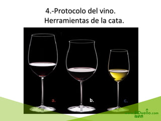 4.-­‐Protocolo	
  del	
  vino.	
  
	
  	
  	
  	
  Herramientas	
  de	
  la	
  cata.	
  
 