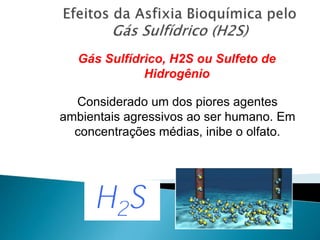 Gás Sulfídrico, H2S ou Sulfeto de
Hidrogênio
Considerado um dos piores agentes
ambientais agressivos ao ser humano. Em
concentrações médias, inibe o olfato.
 