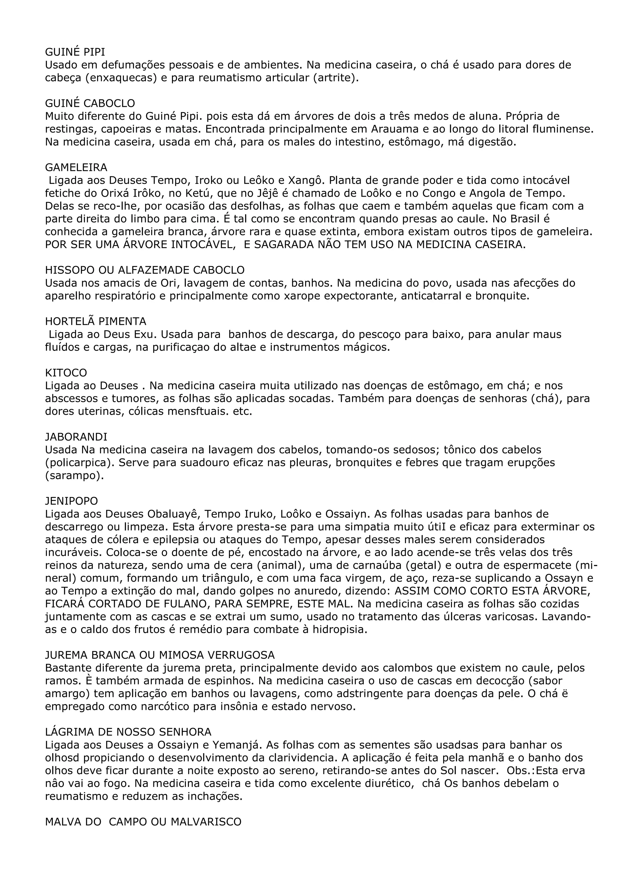 GUINÉ PIPI
Usado em defumações pessoais e de ambientes. Na medicina caseira, o chá é usado para dores de
cabeça (enxaquecas) e para reumatismo articular (artrite).
GUINÉ CABOCLO
Muito diferente do Guiné Pipi. pois esta dá em árvores de dois a três medos de aluna. Própria de
restingas, capoeiras e matas. Encontrada principalmente em Arauama e ao longo do litoral fluminense.
Na medicina caseira, usada em chá, para os males do intestino, estômago, má digestão.
GAMELEIRA
Ligada aos Deuses Tempo, Iroko ou Leôko e Xangô. Planta de grande poder e tida como intocável
fetiche do Orixá Irôko, no Ketú, que no Jêjê é chamado de Loôko e no Congo e Angola de Tempo.
Delas se reco-lhe, por ocasião das desfolhas, as folhas que caem e também aquelas que ficam com a
parte direita do limbo para cima. É tal como se encontram quando presas ao caule. No Brasil é
conhecida a gameleira branca, árvore rara e quase extinta, embora existam outros tipos de gameleira.
POR SER UMA ÁRVORE INTOCÁVEL, E SAGARADA NÃO TEM USO NA MEDICINA CASEIRA.
HISSOPO OU ALFAZEMADE CABOCLO
Usada nos amacis de Ori, lavagem de contas, banhos. Na medicina do povo, usada nas afecções do
aparelho respiratório e principalmente como xarope expectorante, anticatarral e bronquite.
HORTELÃ PIMENTA
Ligada ao Deus Exu. Usada para banhos de descarga, do pescoço para baixo, para anular maus
fluídos e cargas, na purificaçao do altae e instrumentos mágicos.
KITOCO
Ligada ao Deuses . Na medicina caseira muita utilizado nas doenças de estômago, em chá; e nos
abscessos e tumores, as folhas são aplicadas socadas. Também para doenças de senhoras (chá), para
dores uterinas, cólicas mensftuais. etc.
JABORANDI
Usada Na medicina caseira na lavagem dos cabelos, tomando-os sedosos; tônico dos cabelos
(policarpica). Serve para suadouro eficaz nas pleuras, bronquites e febres que tragam erupções
(sarampo).
JENIPOPO
Ligada aos Deuses Obaluayê, Tempo Iruko, Loôko e Ossaiyn. As folhas usadas para banhos de
descarrego ou limpeza. Esta árvore presta-se para uma simpatia muito útiI e eficaz para exterminar os
ataques de cólera e epilepsia ou ataques do Tempo, apesar desses males serem considerados
incuráveis. Coloca-se o doente de pé, encostado na árvore, e ao lado acende-se três velas dos três
reinos da natureza, sendo uma de cera (animal), uma de carnaúba (getal) e outra de espermacete (mineral) comum, formando um triângulo, e com uma faca virgem, de aço, reza-se suplicando a Ossayn e
ao Tempo a extinção do mal, dando golpes no anuredo, dizendo: ASSIM COMO CORTO ESTA ÁRVORE,
FICARÁ CORTADO DE FULANO, PARA SEMPRE, ESTE MAL. Na medicina caseira as folhas são cozidas
juntamente com as cascas e se extrai um sumo, usado no tratamento das úlceras varicosas. Lavandoas e o caldo dos frutos é remédio para combate à hidropisia.
JUREMA BRANCA OU MIMOSA VERRUGOSA
Bastante diferente da jurema preta, principalmente devido aos calombos que existem no caule, pelos
ramos. È também armada de espinhos. Na medicina caseira o uso de cascas em decocção (sabor
amargo) tem aplicação em banhos ou lavagens, como adstringente para doenças da pele. O chá ë
empregado como narcótico para insônia e estado nervoso.
LÁGRIMA DE NOSSO SENHORA
Ligada aos Deuses a Ossaiyn e Yemanjá. As folhas com as sementes são usadsas para banhar os
olhosd propiciando o desenvolvimento da clarividencia. A aplicação é feita pela manhã e o banho dos
olhos deve ficar durante a noite exposto ao sereno, retirando-se antes do Sol nascer. Obs.:Esta erva
nâo vai ao fogo. Na medicina caseira e tida como excelente diurético, chá Os banhos debelam o
reumatismo e reduzem as inchações.
MALVA DO CAMPO OU MALVARISCO

 
