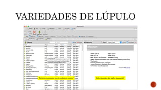 Próxima semana você cadastra outro! Informações da safra passada!
 