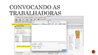 Todas as variedades cadastradas
Ajuste a data do pacote!
 