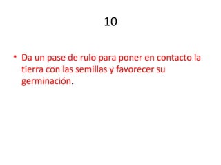 10
• Da un pase de rulo para poner en contacto la
tierra con las semillas y favorecer su
germinación.
 
