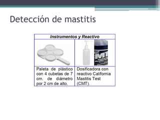 Detección de mastitis
 