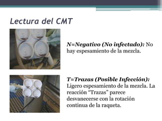Lectura del CMT
N=Negativo (No infectado): No
hay espesamiento de la mezcla.
T=Trazas (Posible Infección):
Ligero espesami...