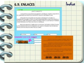 6.9. ENLACES
TAMAÑO 132 X 35 APROX
 