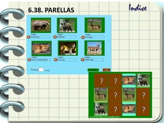 6.38. PARELLAS
 