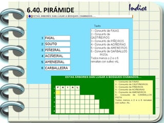 6.40. PIRÁMIDE
 