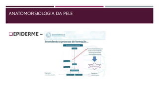 ANATOMOFISIOLOGIA DA PELE
EPIDERME – melanogênese
 