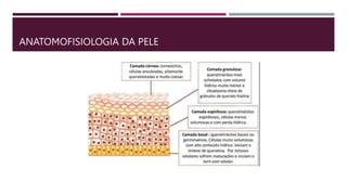 ANATOMOFISIOLOGIA DA PELE
 