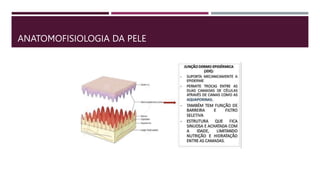 ANATOMOFISIOLOGIA DA PELE
 
