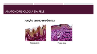 ANATOMOFISIOLOGIA DA PELE
 