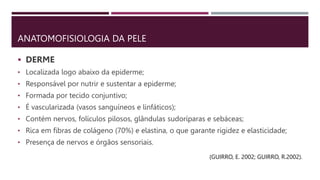 ANATOMOFISIOLOGIA DA PELE
 DERME
• Localizada logo abaixo da epiderme;
• Responsável por nutrir e sustentar a epiderme;
• Formada por tecido conjuntivo;
• É vascularizada (vasos sanguíneos e linfáticos);
• Contém nervos, folículos pilosos, glândulas sudoríparas e sebáceas;
• Rica em fibras de colágeno (70%) e elastina, o que garante rigidez e elasticidade;
• Presença de nervos e órgãos sensoriais.
(GUIRRO, E. 2002; GUIRRO, R.2002).
 