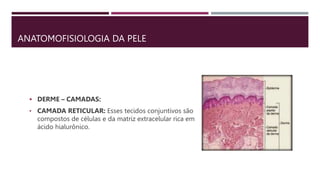 ANATOMOFISIOLOGIA DA PELE
 DERME – CAMADAS:
• CAMADA RETICULAR: Esses tecidos conjuntivos são
compostos de células e da matriz extracelular rica em
ácido hialurônico.
 