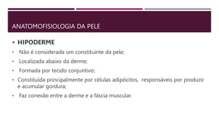 ANATOMOFISIOLOGIA DA PELE
 HIPODERME
• Não é considerada um constituinte da pele;
• Localizada abaixo da derme;
• Formada por tecido conjuntivo;
• Constituída principalmente por células adipócitos, responsáveis por produzir
e acumular gordura;
• Faz conexão entre a derme e a fáscia muscular.
 