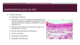 ANATOMOFISIOLOGIA DA PELE
 Funções da pele:
 Regulação Térmica;
 Proteção contra microrganismos patogénicos,
danos mecânicos, substâncias tóxicas e contra
a perda excessiva de água, eletrólitos e outras
substâncias;
 Recepção de estímulos sensoriais (calor, frio,
pressão, dor e tato);
 Via de administração de fármacos;
 Via de excreção;
 Produção de calciferol;
 Produção de Melanina.
 