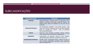 SUBCLASSIFICAÇÕES
 
