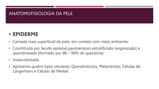 ANATOMOFISIOLOGIA DA PELE
 EPIDERME
• Camada mais superficial da pele, em contato com meio ambiente;
• Constituída por tecido epitelial pavimentoso estratificado (organizado) e
queratinizado (formado por 80 – 90% de queratina);
• Avascularizada;
• Apresenta quatro tipos celulares: Queratinócitos, Melanócitos, Células de
Langerhans e Células de Merkel.
 