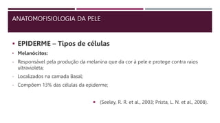 ANATOMOFISIOLOGIA DA PELE
 EPIDERME – Tipos de células
• Melanócitos:
- Responsável pela produção da melanina que da cor à pele e protege contra raios
ultravioleta;
- Localizados na camada Basal;
- Compõem 13% das células da epiderme;
 (Seeley, R. R. et al., 2003; Prista, L. N. et al., 2008).
 