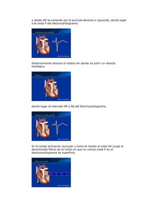 y desde allí se extiende por la aurícula derecha e izquierda, dando lugar
a la onda P del electrocardiograma.
Posteriormente alcanza el nódulo AV donde va sufrir un retardo
fisiológico
dando lugar al intervalo PR o PQ del Electrocardiograma.
Si no existe activación auricular y toma el mando el nodo AV surge el
denominado Ritmo de la Unión en que no vemos onda P en el
electrocardiograma de superficie.
 