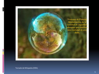 Teorema de Plateau:
Minimización de la
cantidad de superficie
jabonosa que contiene
una cantidad de aire
dada.

Tomado de Wikipedia (DRA)
23

 