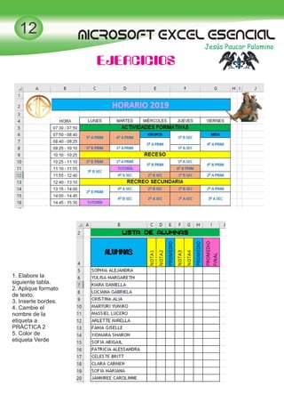 MICROSOFT EXCEL esencial
Jesús Paucar Palomino
12
EJERCICIOS
1. Elabore la
siguiente tabla.
2. Aplique formato
de texto.
3. Inserte bordes.
4. Cambie el
nombre de la
etiqueta a
PRÁCTICA 2
5. Color de
etiqueta Verde
 