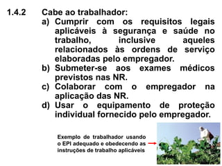 1.4.2 Cabe ao trabalhador:
a) Cumprir com os requisitos legais
aplicáveis à segurança e saúde no
trabalho, inclusive aqueles
relacionados às ordens de serviço
elaboradas pelo empregador.
b) Submeter-se aos exames médicos
previstos nas NR.
c) Colaborar com o empregador na
aplicação das NR.
d) Usar o equipamento de proteção
individual fornecido pelo empregador.
Exemplo de trabalhador usando
o EPI adequado e obedecendo as
instruções de trabalho aplicáveis
 